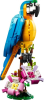 31136 Exotic Parrot