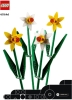 40646 Daffodils page 001