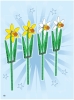 40646 Daffodils page 018