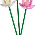 40647 Lotus Flowers