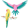 31211 The Fauna Collection - Macaw Parrots
