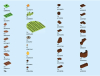 40709 Spring Animal Playground page 074