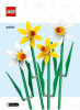 40747 Daffodils page 001