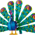 31157 Exotic Peacock