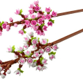 40725 Cherry Blossoms