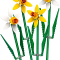 40747 Daffodils
