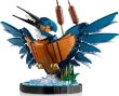 10331 Kingfisher