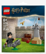 30706 Quidditch Lesson