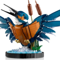 10331 Kingfisher