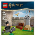 30706 Quidditch Lesson