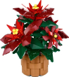 10370 Poinsettia