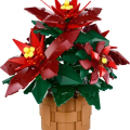 10370 Poinsettia