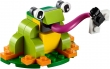 40326 Frog
