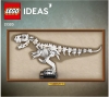 21320 Dinosaur Fossils