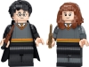 76393 Harry Potter & Hermione Granger